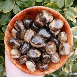 (2) Tumbled Bronzite Stones